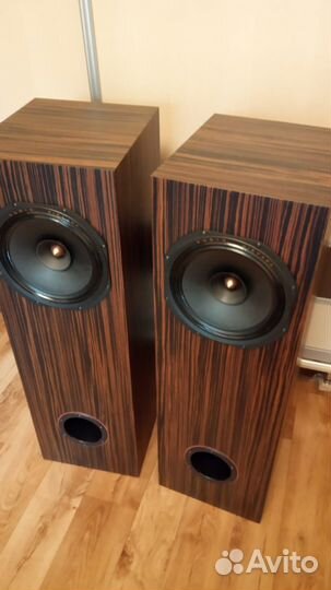 Audio Nirvana Super 10