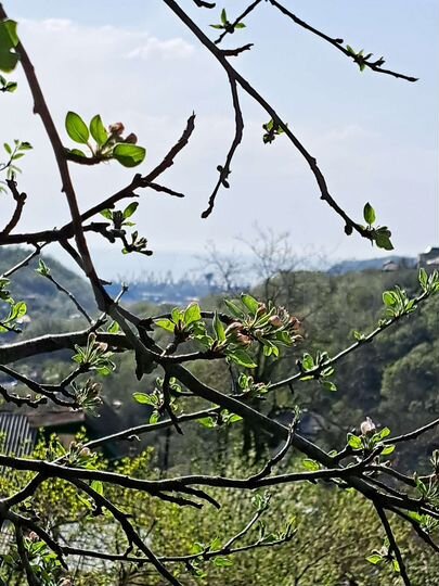 Дом 40 м² на участке 8 сот.