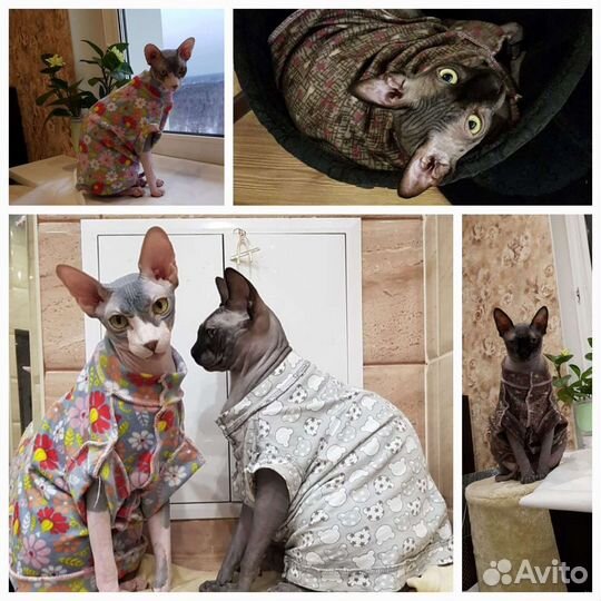 Тёплая одежда для сфинкса кошки питомца. Новая