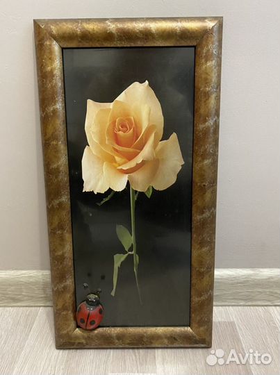 Фотопостер с розой в раме