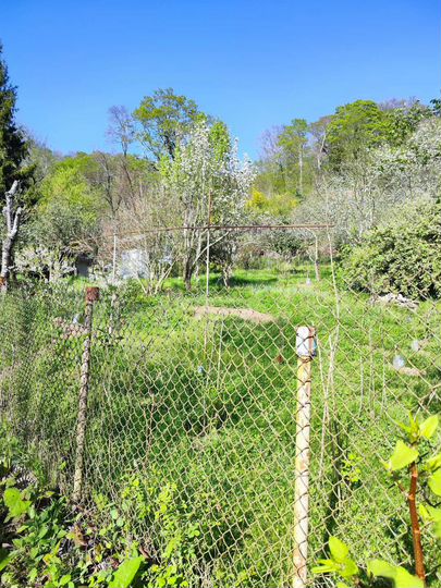 Участок 7,1 сот. (СНТ, ДНП)