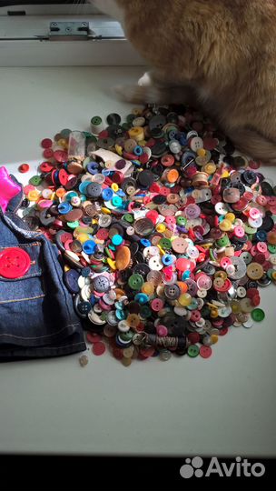 Бабушкины пуговицы и пуговки