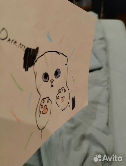 Рисунок кота