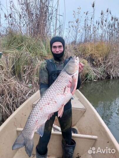 Подводная охота и рыбалка на раскатах