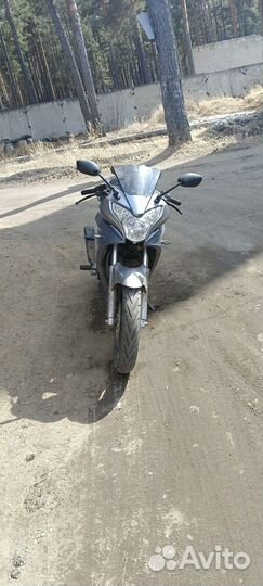 Рейсер скайвей 250