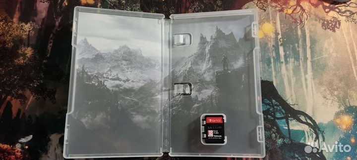 The elder scrolls 5 skyrim Nintendo switch