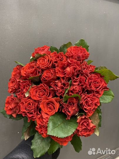 Розы с доставкой 25 шт