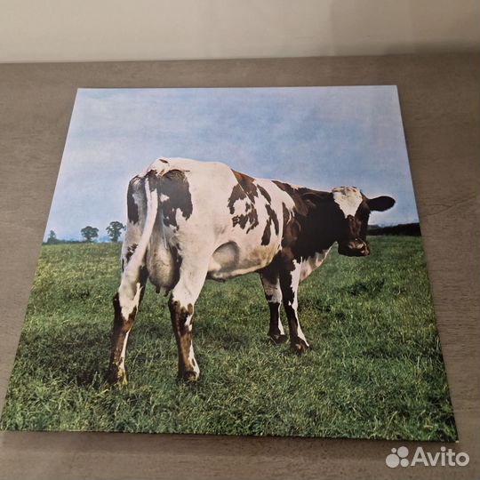 Виниловая пластинка Pink Floyd
