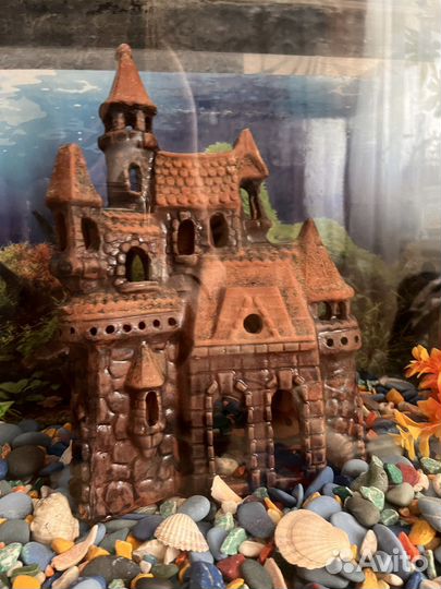 Аквариум (б/у) с фильтром,декором