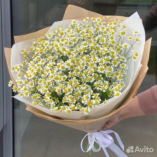 Ромашки. Букеты.Цветы с Доставкой