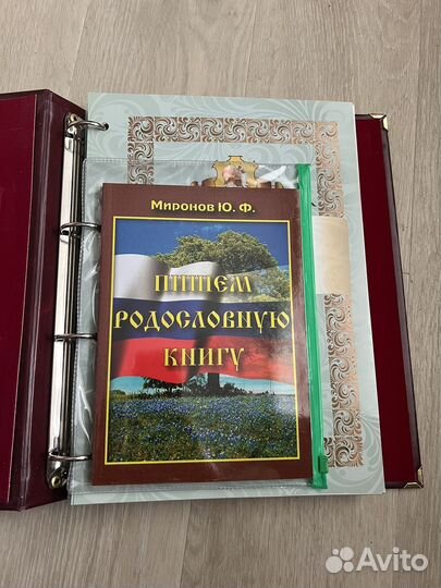 Родословная книга