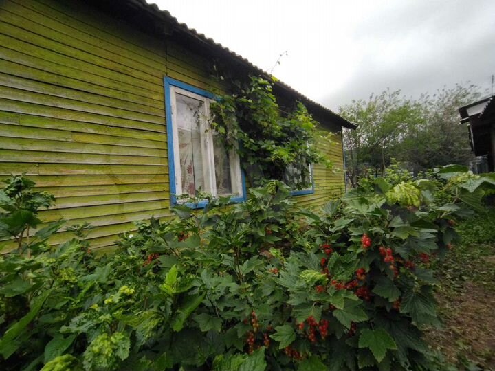 Дом 41,9 м² на участке 6,8 сот.