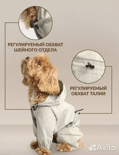 Дождевик и шлейка для собак всех пород