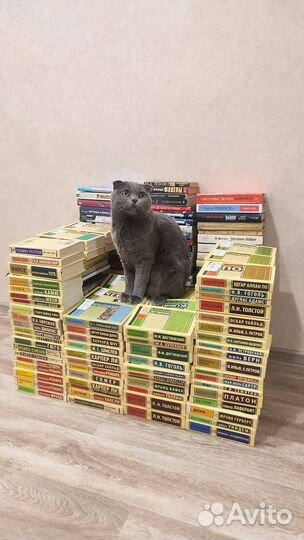 Книги, 84 шт