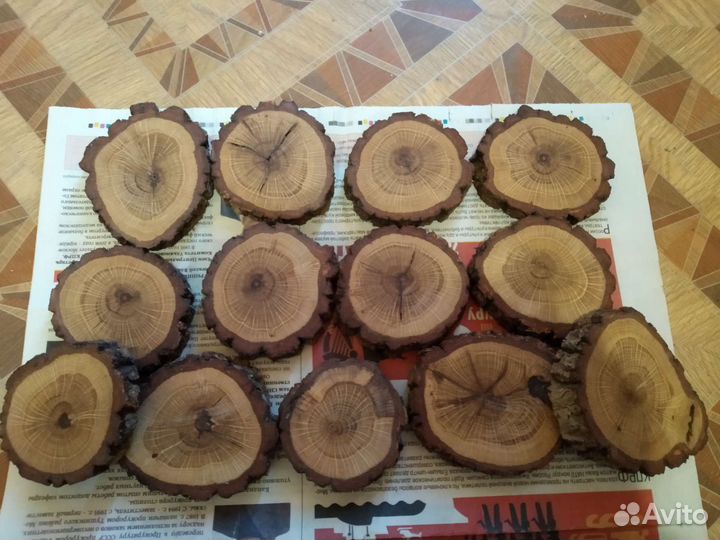Торцевые спилы деревьев