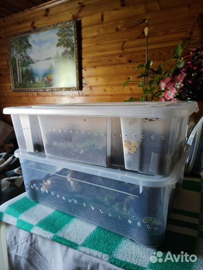 Контейнер пластиковый 25 литров