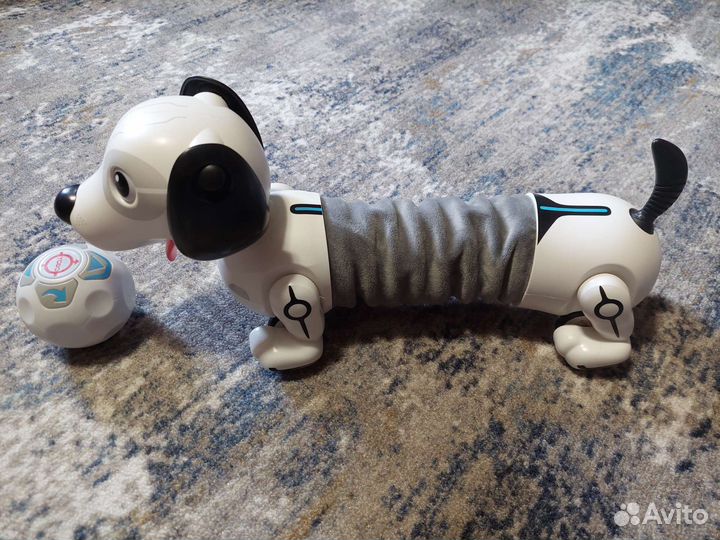 Собака робот
