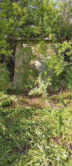 Дача 10 м² на участке 6 сот.