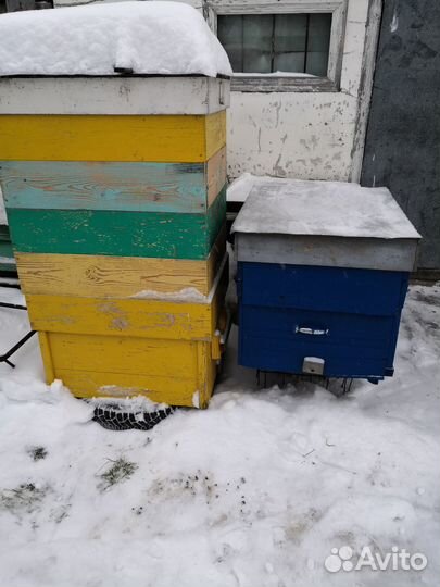 Продам улии,суш,вощину,медогонку,тележку