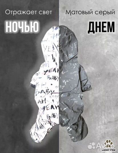 Костюм для собак