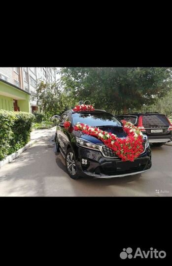 Трансфер. Авто на свадьбу