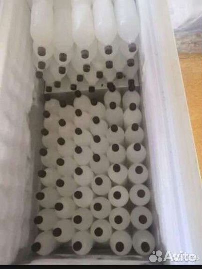 Березовый сок