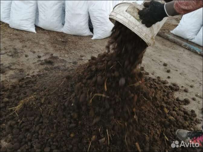 Подстилка конская (навоз конский с опилками) 50 л