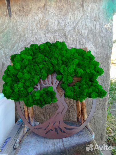 Мох стабилизированный оптом и в розницу