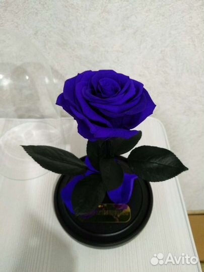 Роза в колбе подарок любимым