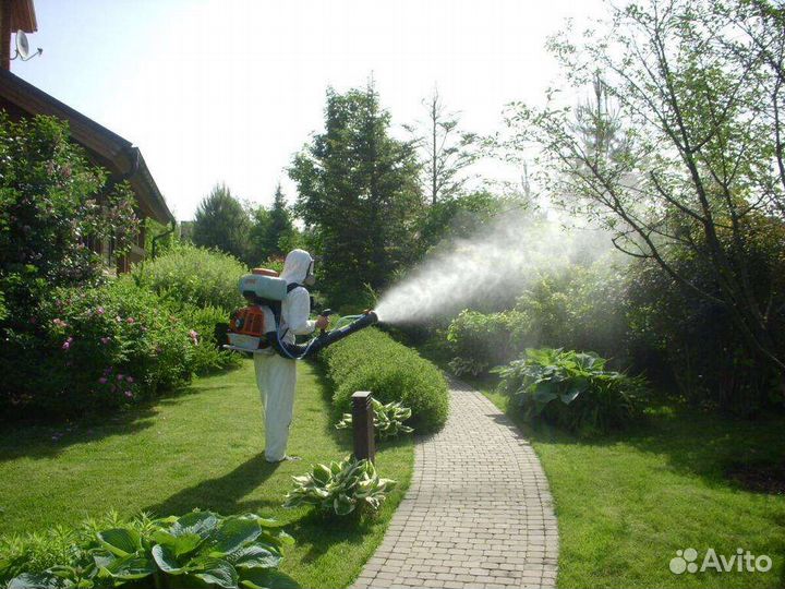 Обработка участка от Клещей, Короеда, Комаров