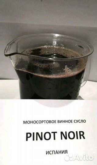 Моносортовое винное сусло Pinot Noir