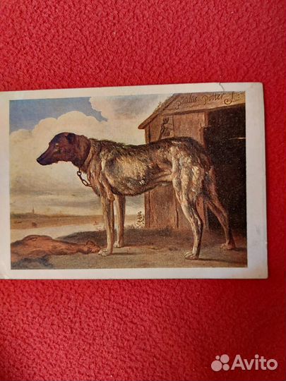 Почтовые карточки