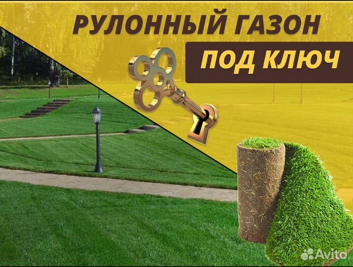 Газон рулонный под ключ