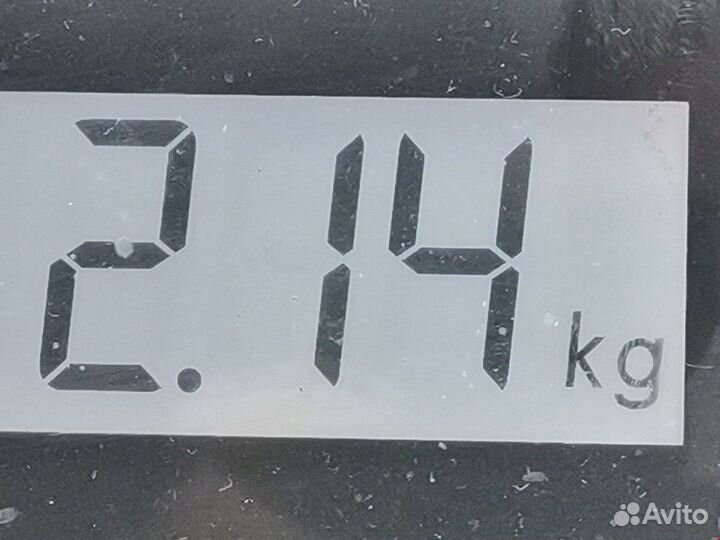 Амортизатор задний правый для Audi A3 8L