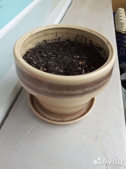Керамический горшок для цветов