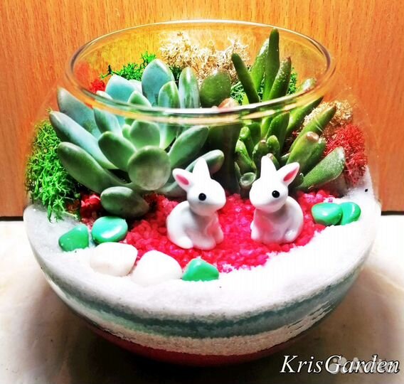 Флорариум подарок