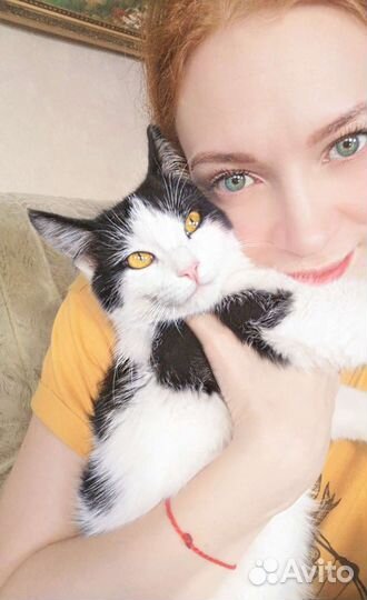 Ваш проводник в Зоопсихологию Татьяна Шип