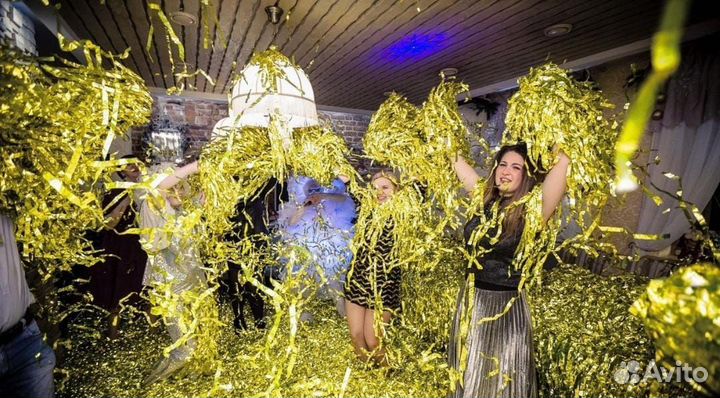 Аниматоры/Крио-шоу /Детские праздники/Бумага Шоу