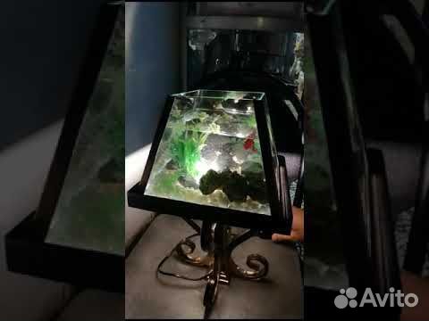 Светильник аквариум объявление продам