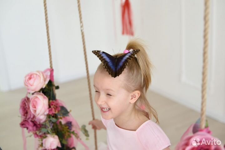 Детская Миниферма бабочек подарок 8 марта рождения