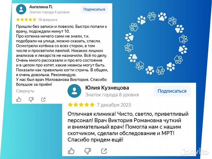 Ветеринарный врач