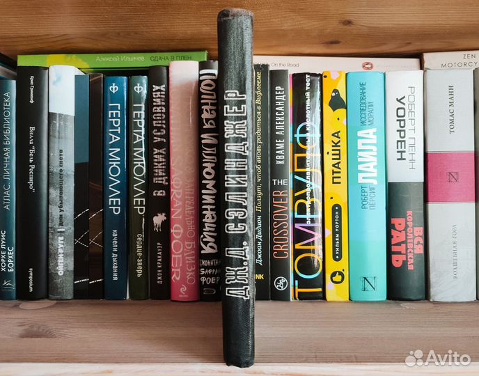 Сэлинджер - Над пропастью во ржи (Молодая гвардия)