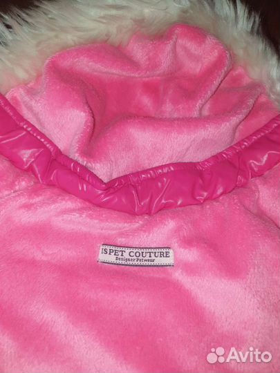 Одежда для собак