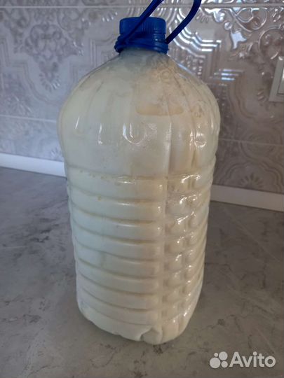 Молочные продукты