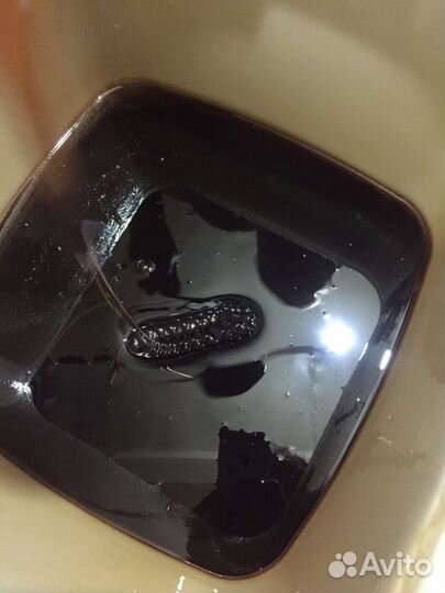 Мёд гречишный (2022 года)