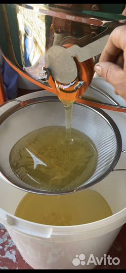 Мед белая акация
