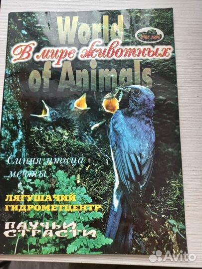 Журнал В мире животных 5 за 1998 г