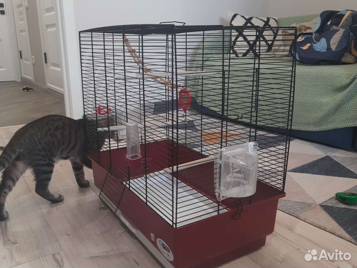 Клетка для среднего попугая