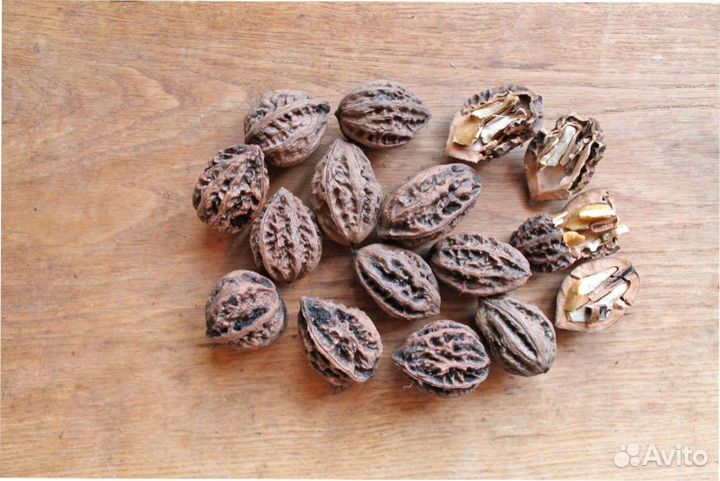 Маньчжурский орех