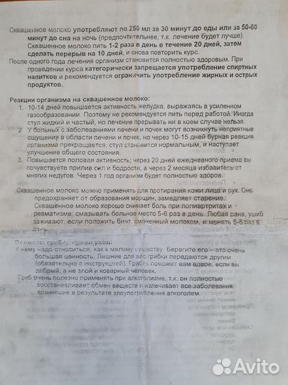 Кефирный молочный гриб